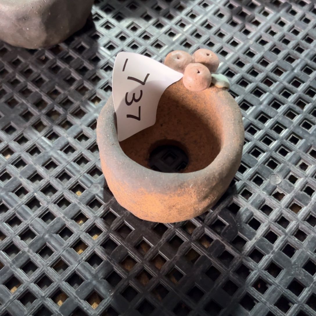 红陶芳*737花盆  1个