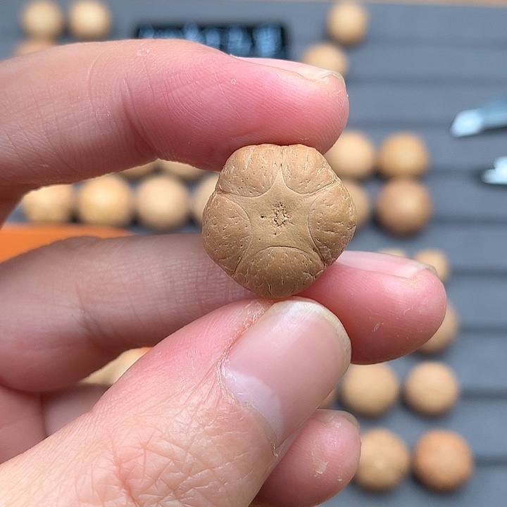 吊坠凤眼菩提19+五星，非质量问题开孔不退