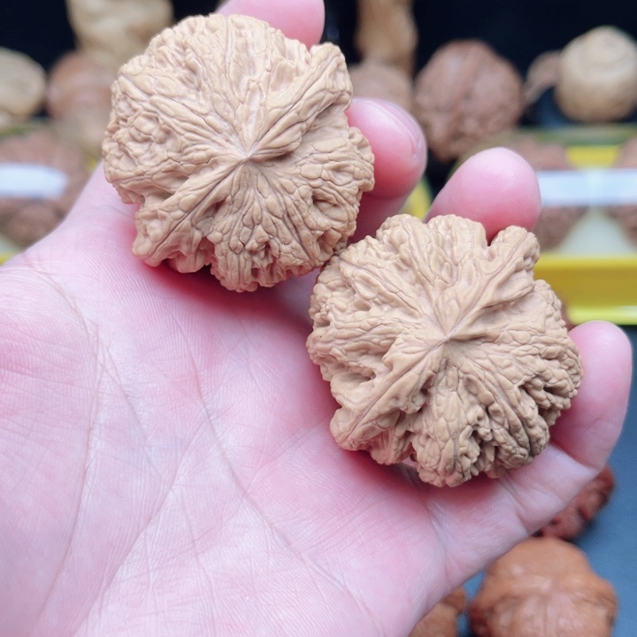 文玩核桃把件平谷大粗筋44×44×36