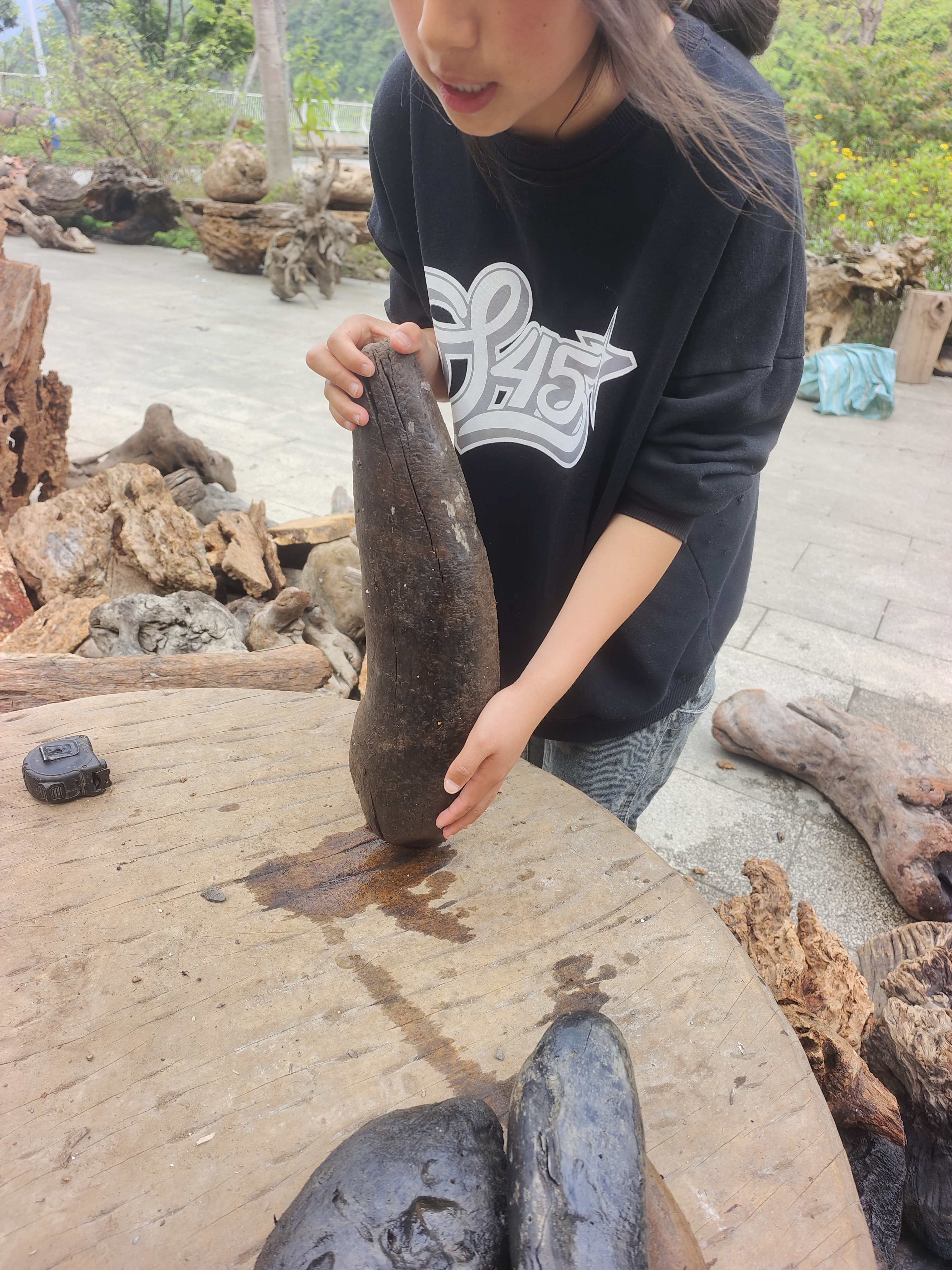 民间使用风化木漂流木