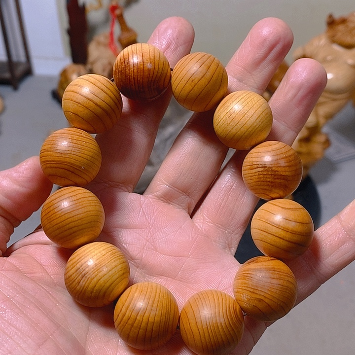 柏木（崖柏）太行大峡谷崖柏