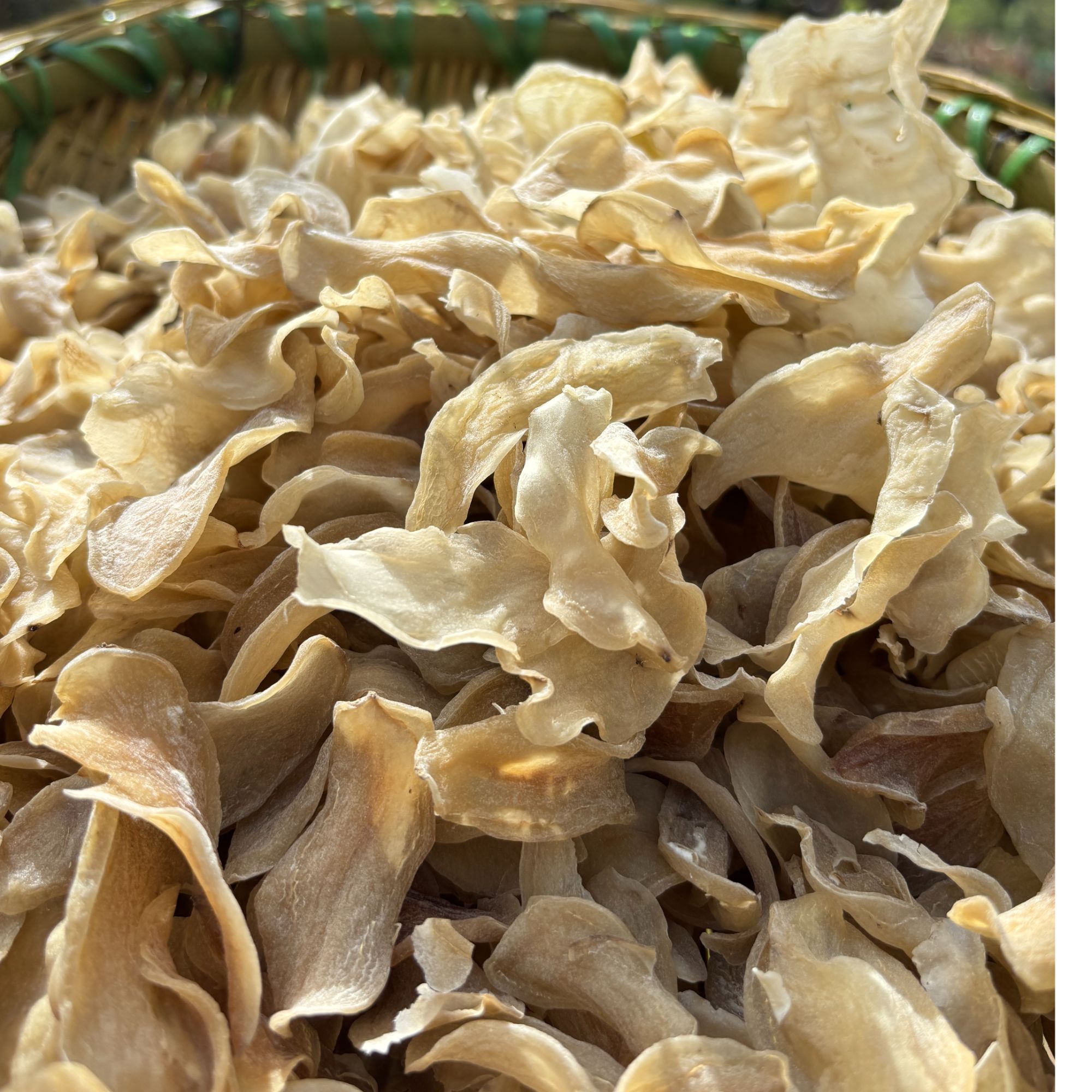 城口老高山【洋芋片】