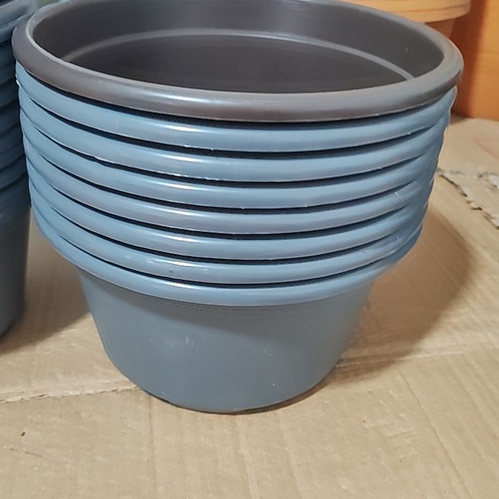 矮胖老桩多肉盆 8 个