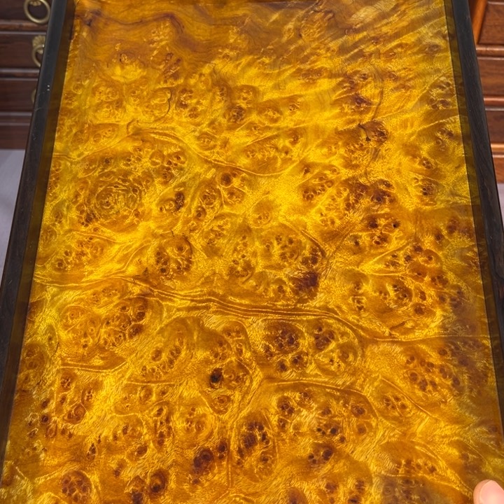 木黄金樟留疤超大托盘