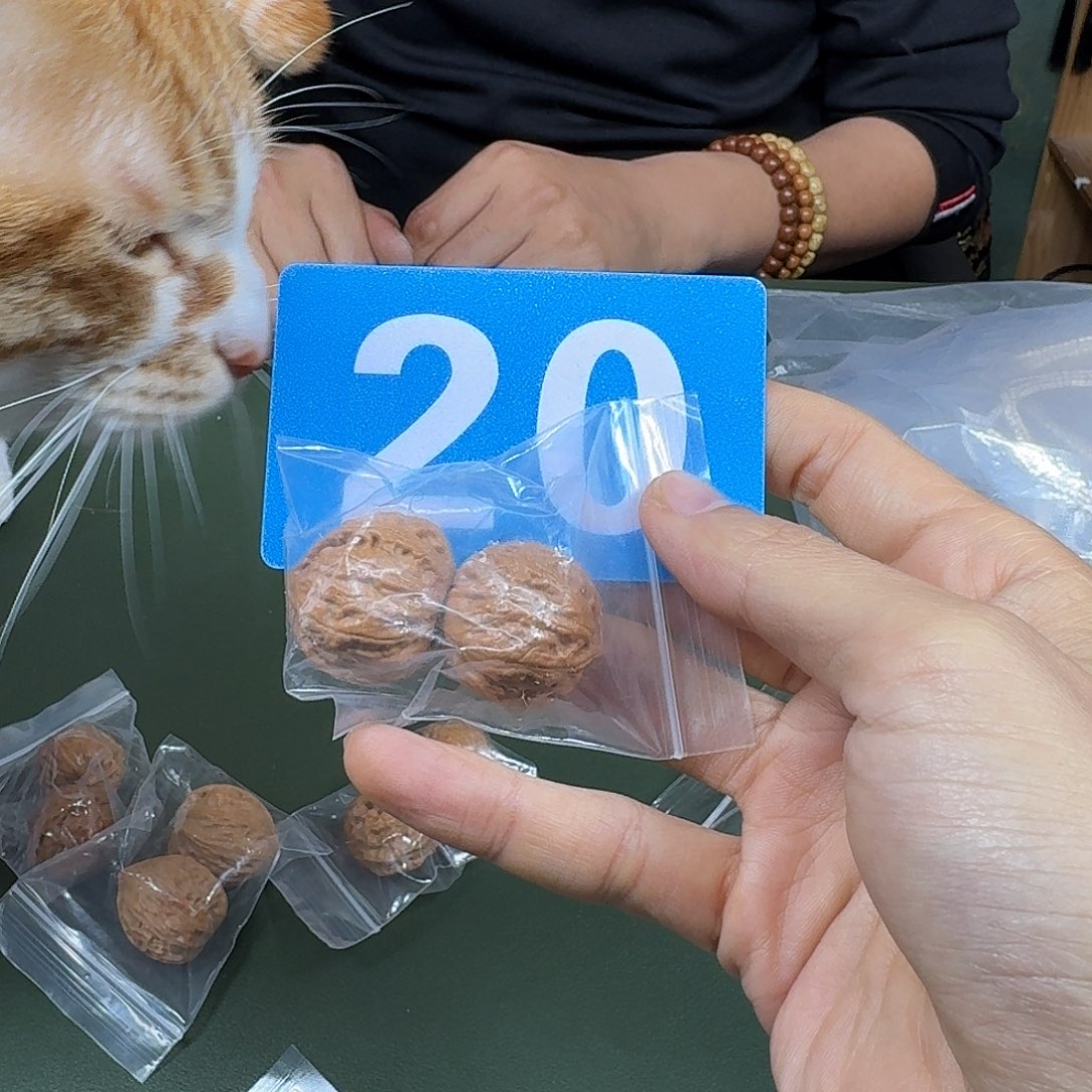 桃核吊坠秋子25尺寸。20