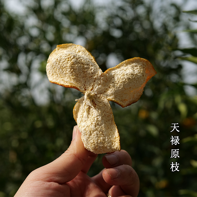 【天马原枝大种油身】2025年新会陈皮新会柑二红皮大红皮煲汤送礼