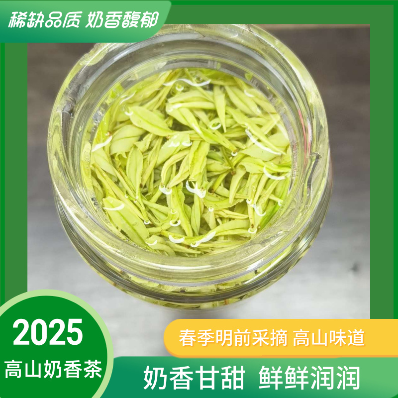 【鲜爽小熊猫奶香茶N26】2025新茶安吉原产地奶香白茶黄金芽茶叶