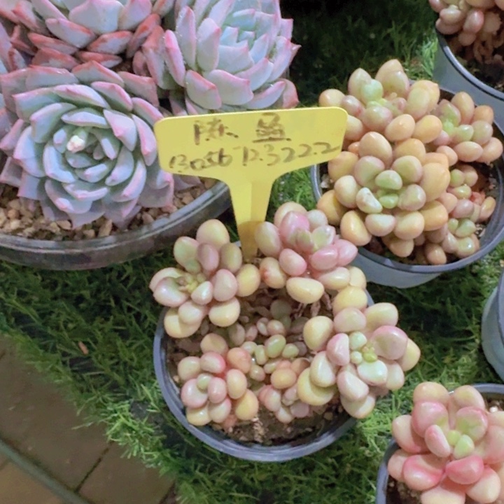 健健康康平平安安