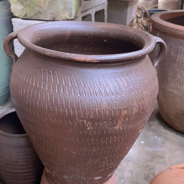 红陶288号28×21咖瑕