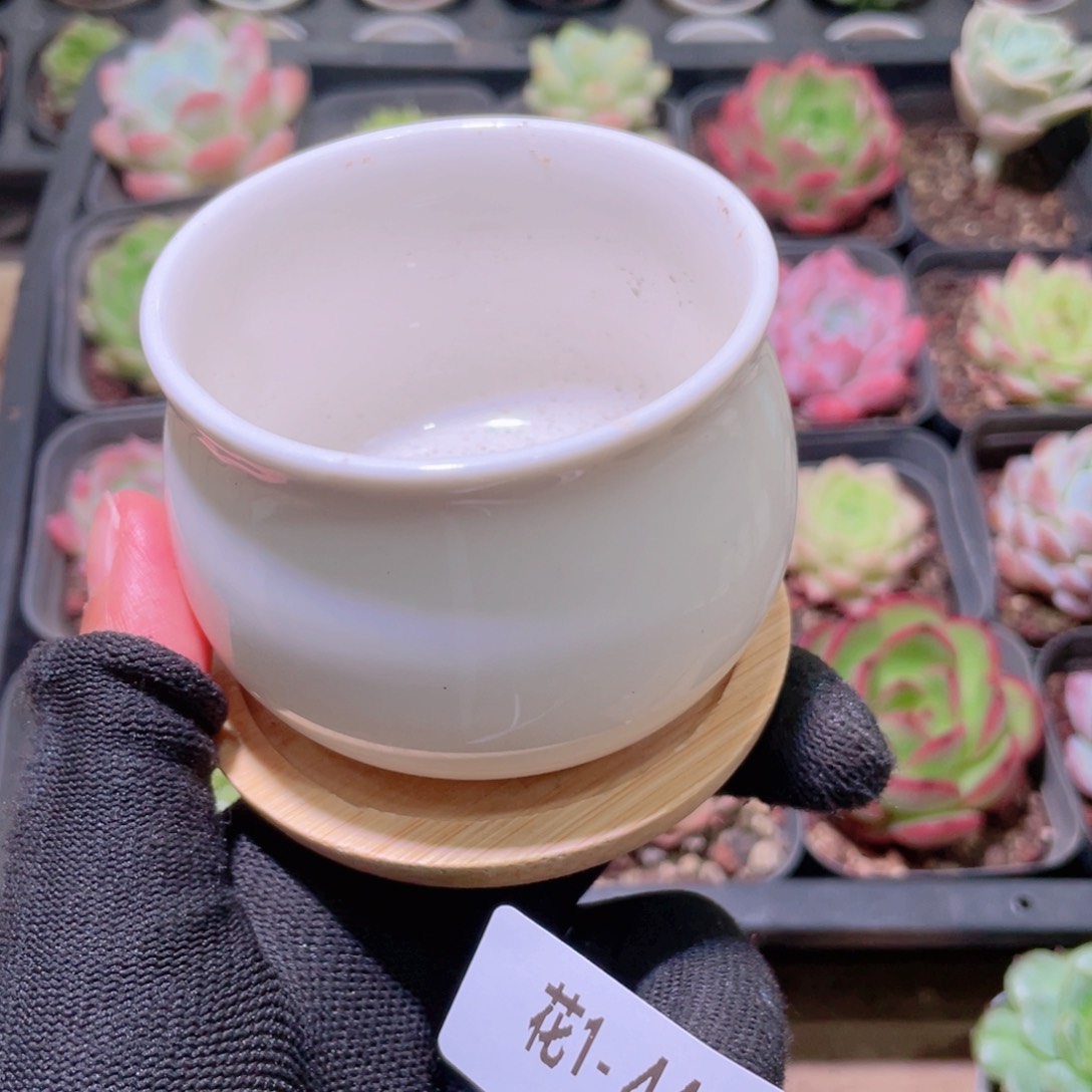 花利美1-44花盆一个多库存