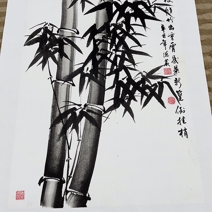 国画花鸟的翅膀和翅膀都是白色的羽毛和