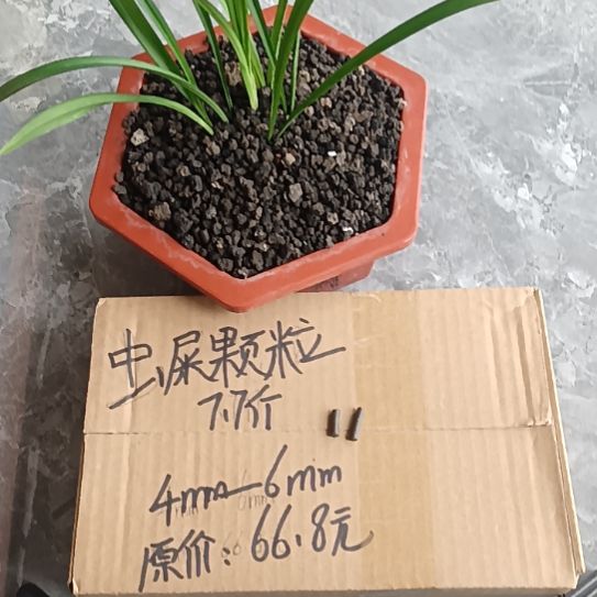 肖***晨兰菌黑山土虫屎颗粒7.7斤