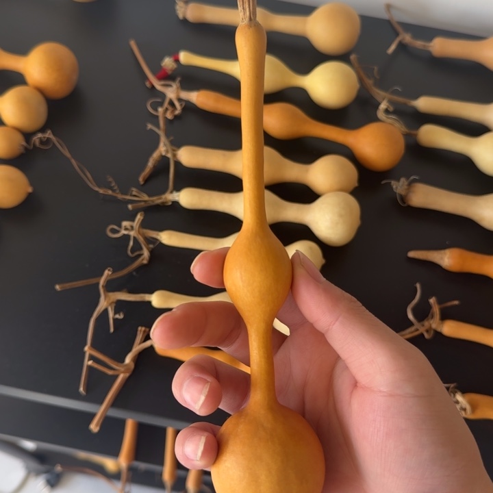 无***常精品三庭杆子老皮周正