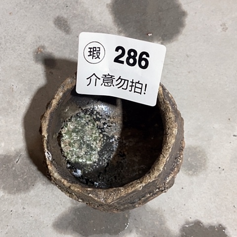 杯净**画瑕 柴烧裸烧 不退不换