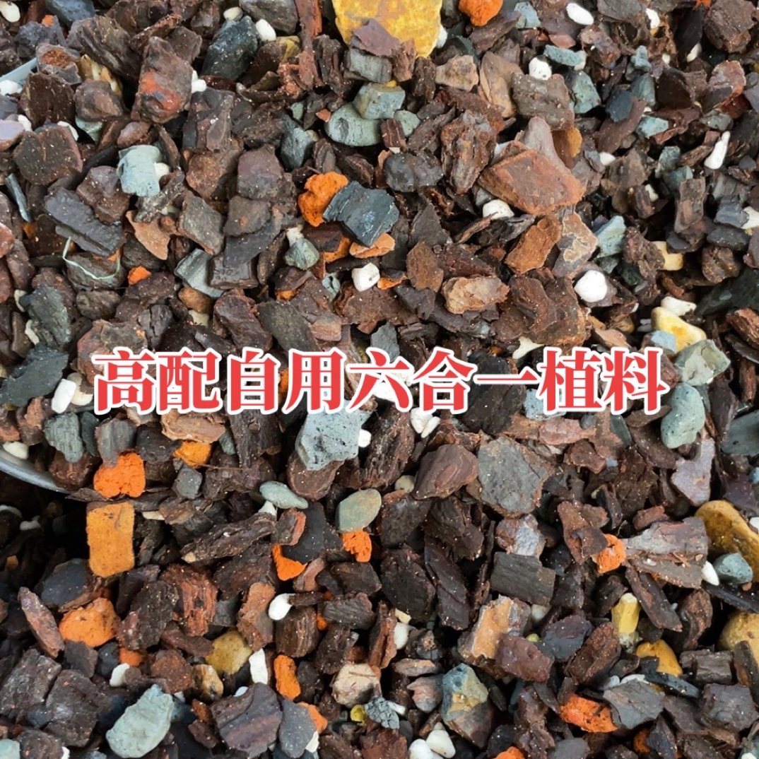 高配兰花植料六合一根好芽好苗壮5.2斤多另送铺面送有机肥约5.8斤