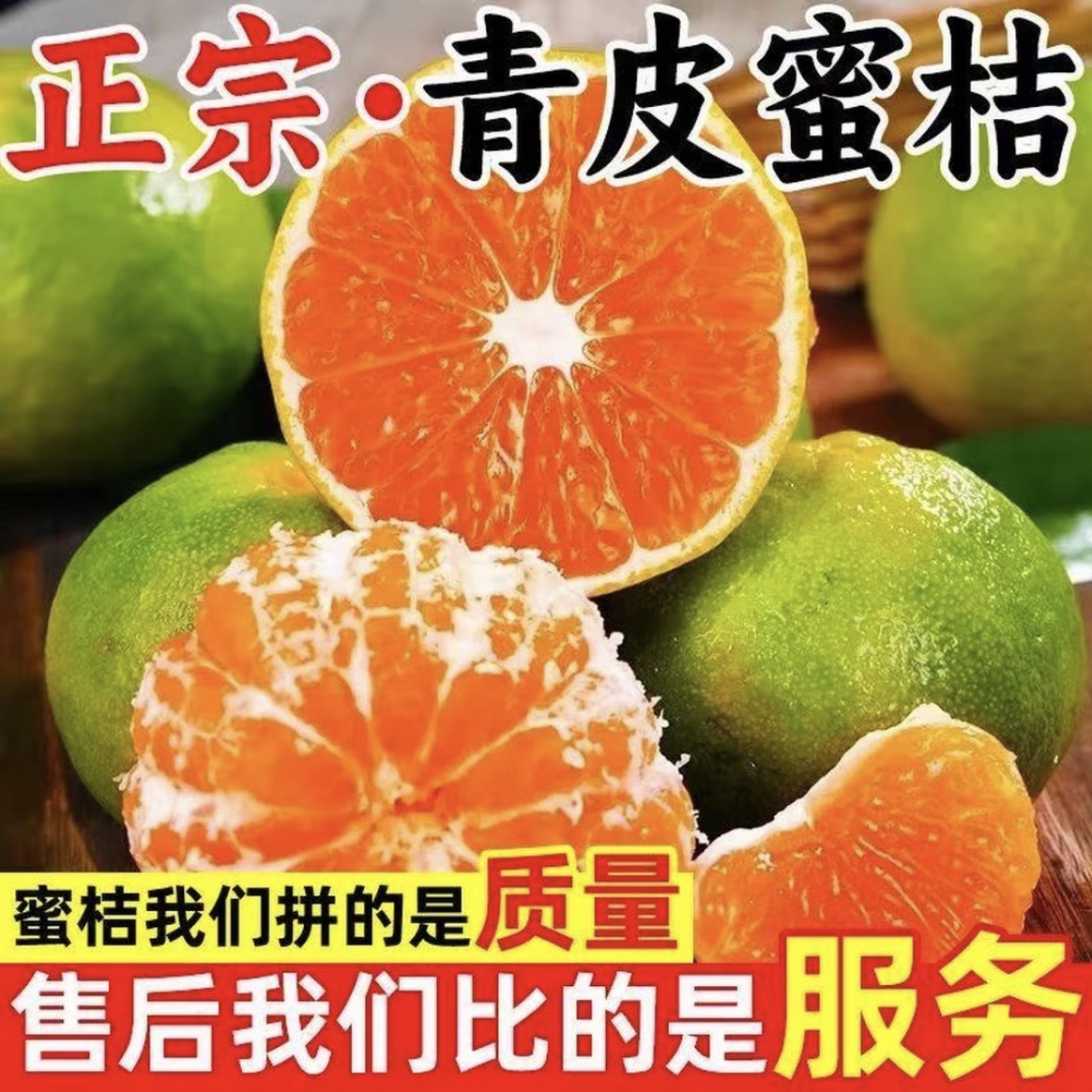 【爽口蜜橘】正宗云南青皮橘子薄皮多汁现摘应季水果