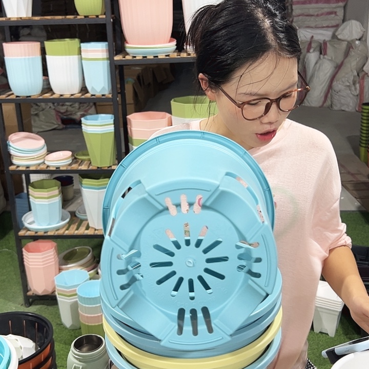 圆形控根口24高24混色5只无托