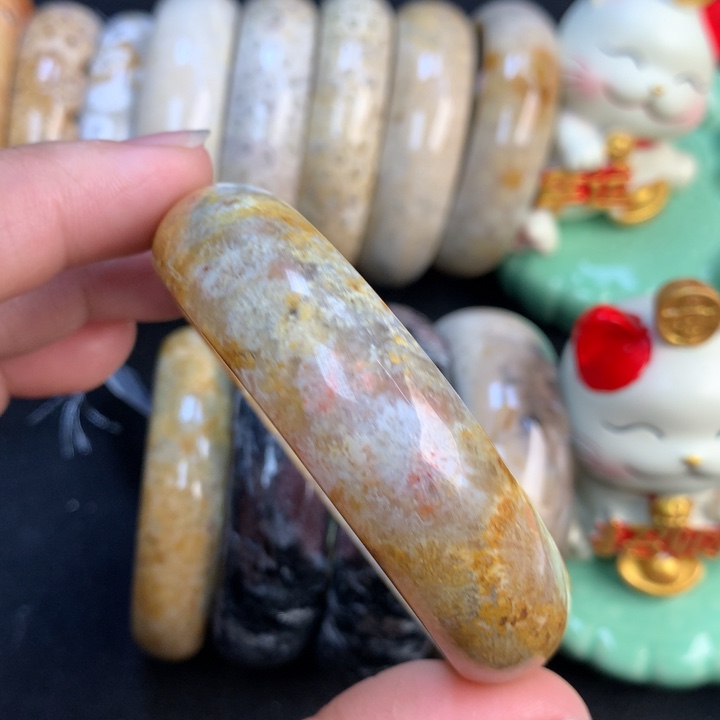 【闪购商品】硅化珊瑚（珊瑚玉）颈饰未镶嵌57