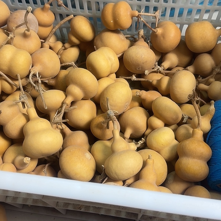 南***机南京南京南京葫芦