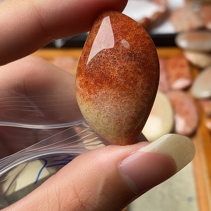 硅化玉颈饰未镶嵌依****a