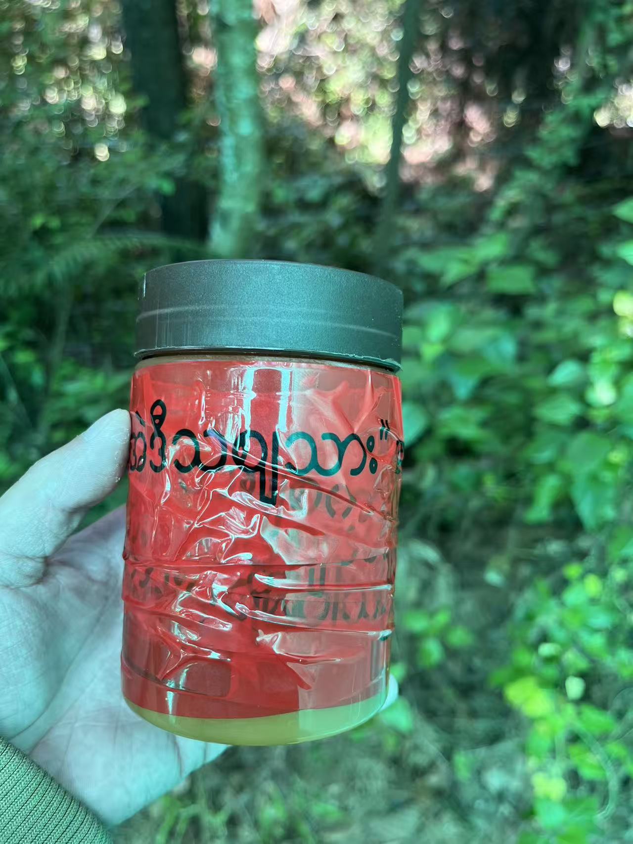 1【土-蜂-蜜】净含量：500-2000g【童童现收】枸杞