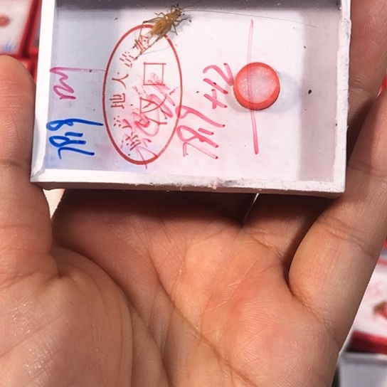 郭***尐蟋蟀3333333333333333