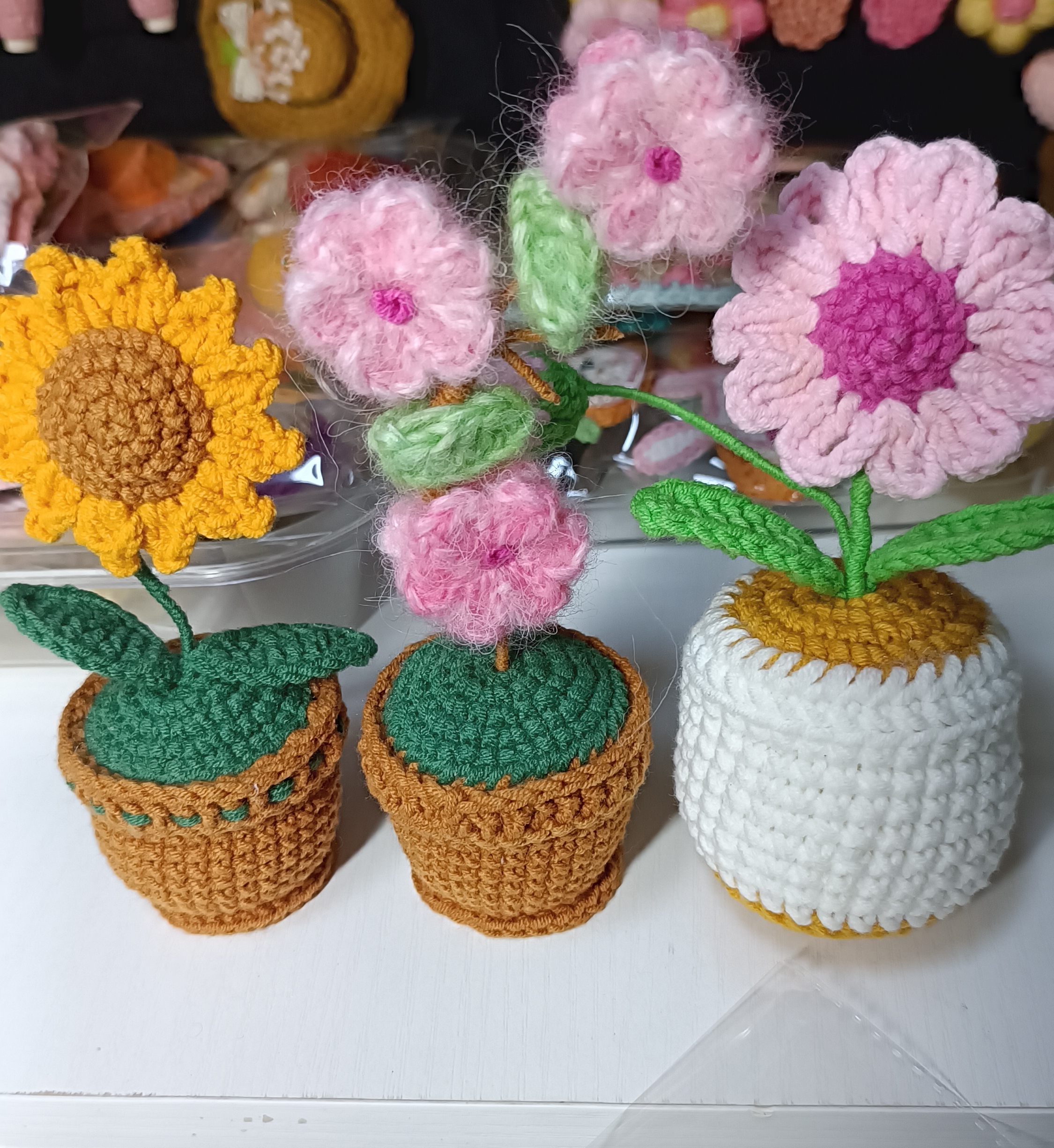 《8级粉丝专拍链接》多肉，毛线钩织盆栽文艺兔兔联系主播再拍。