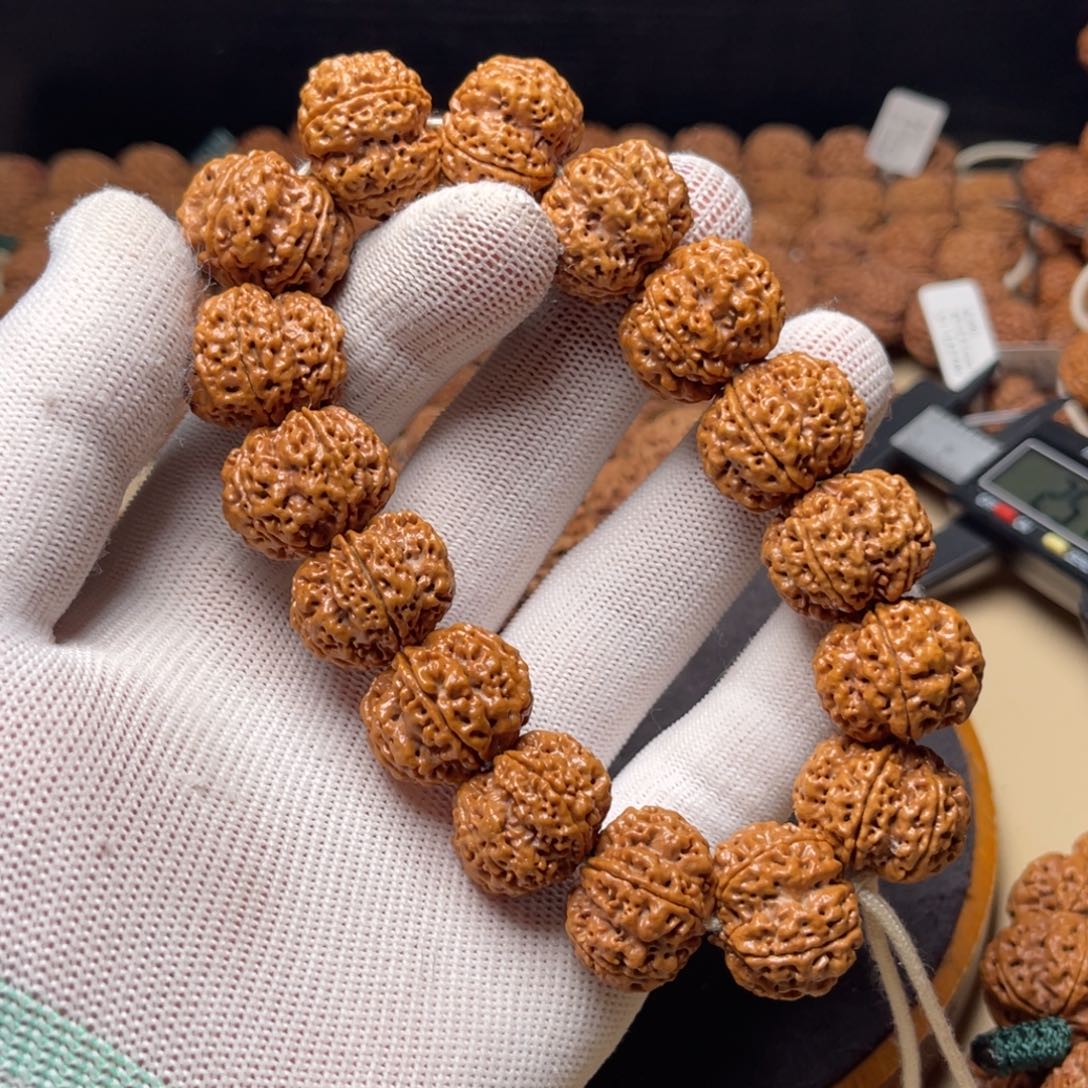 你***的金刚菩提手串梁产区深沟梅花双龙头货22左右