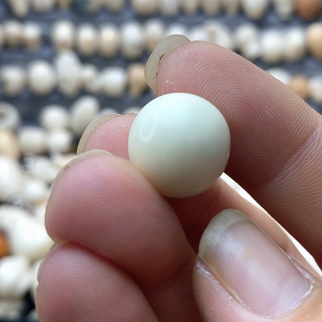 长***安菩提根/象牙果吊坠