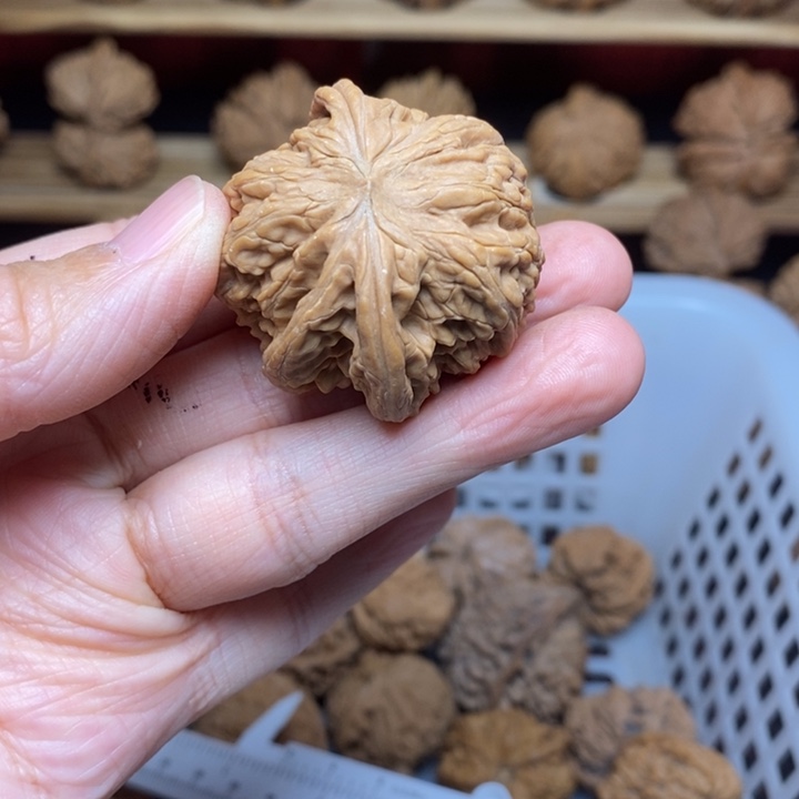 奉***n文玩核桃把件文玩