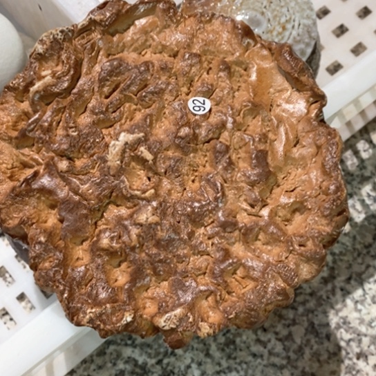 福利多多福利多多