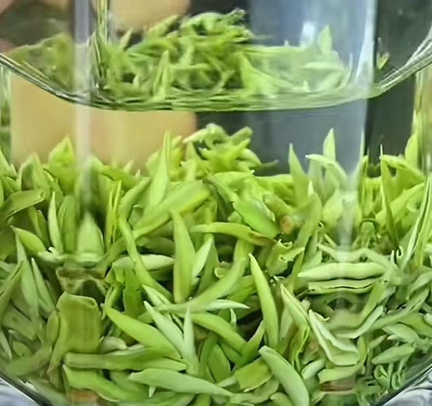 2025年春茶碧螺春花果香绿茶