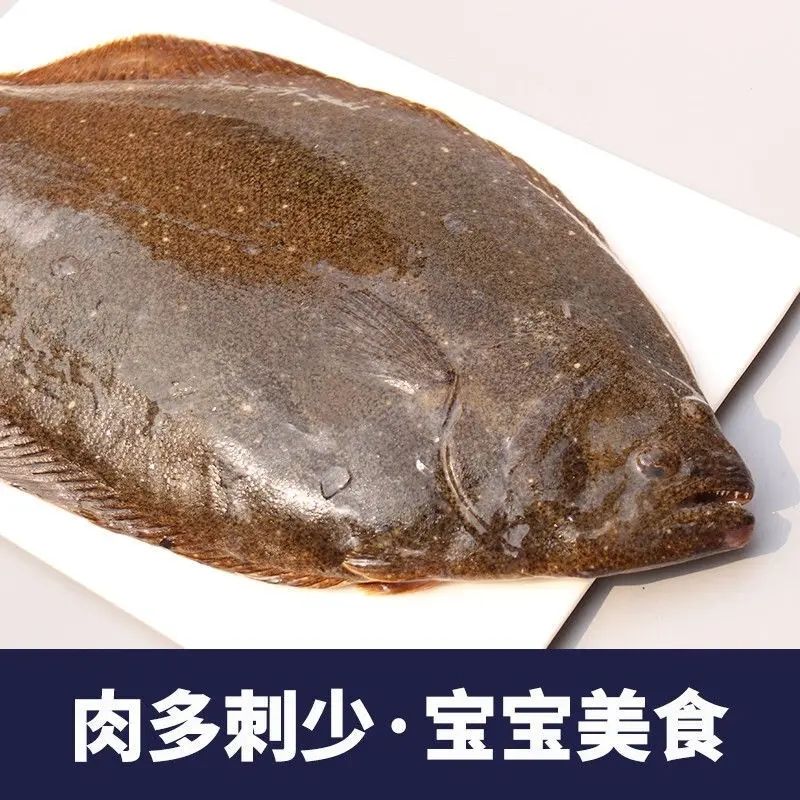 威海本地海捕野生石将鱼/石蝶鱼/石浆子鱼/石匠子鱼/顺丰空运到家