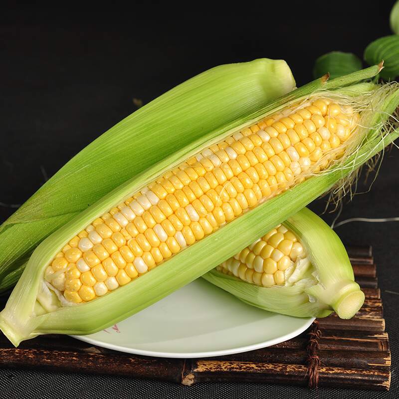 云南金银水果玉米低脂蔬菜新鲜甜玉米棒子苞谷可榨汁即食现摘带皮