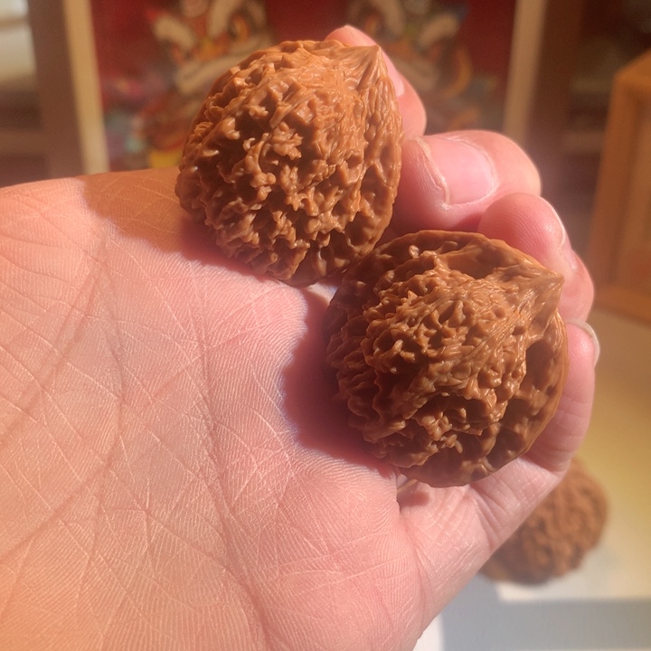 吊坠猴头核桃满天星 全品