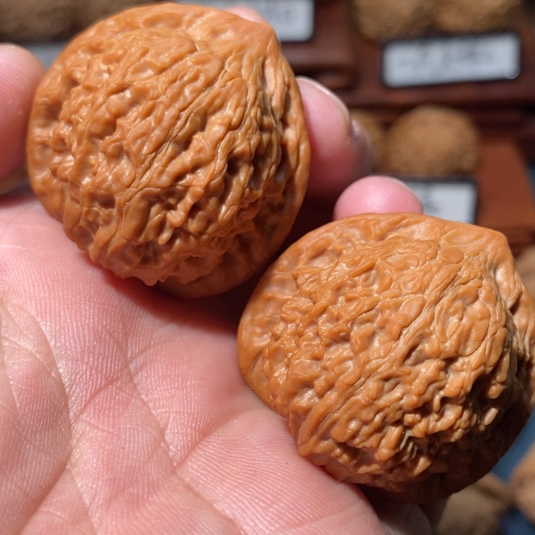 文玩核桃把件原树七步沟全品