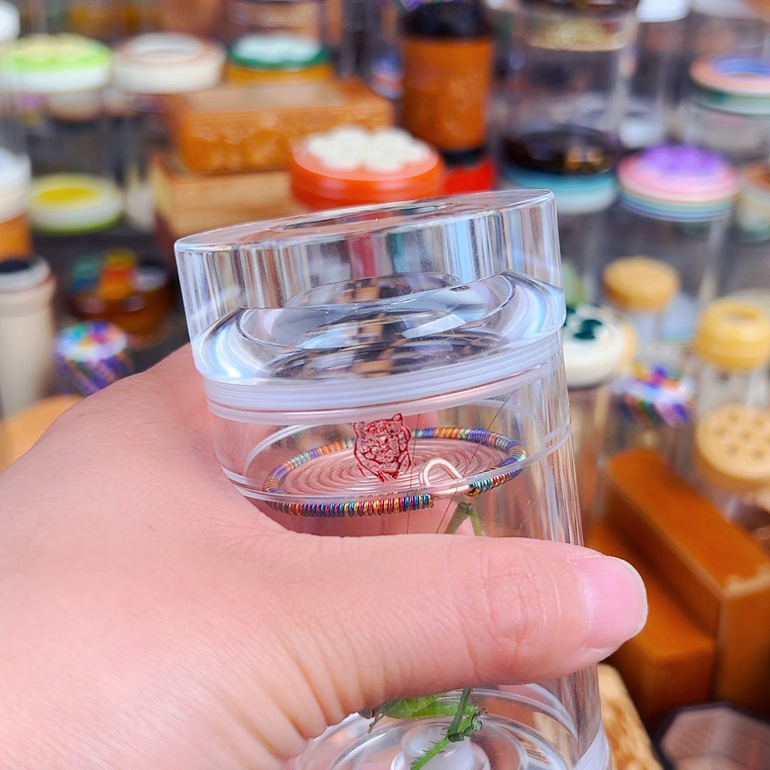 木白色老王罐➕彩簧