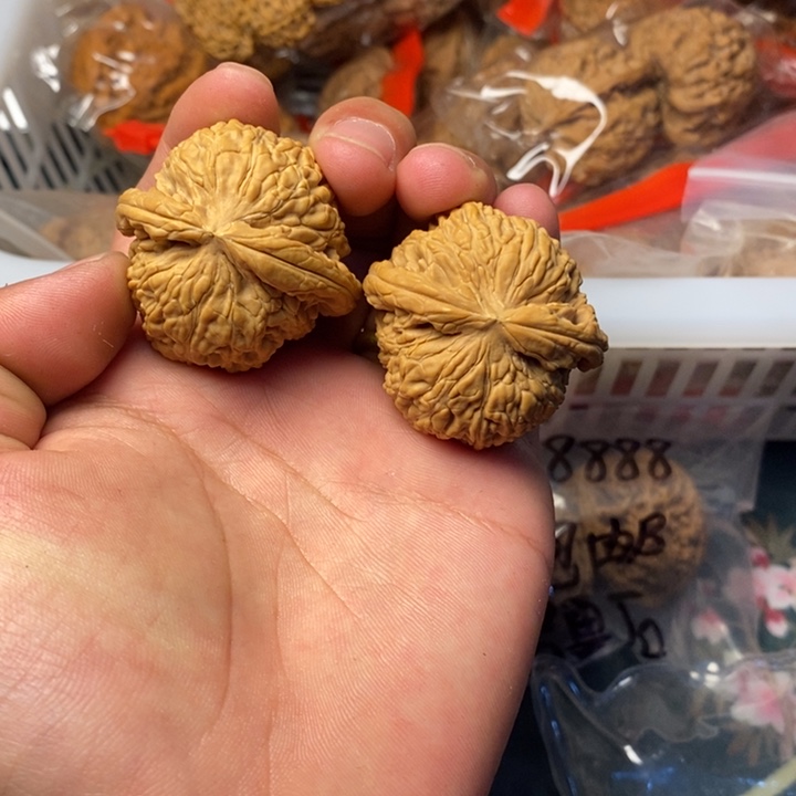 3号闪购文玩商品白狮子