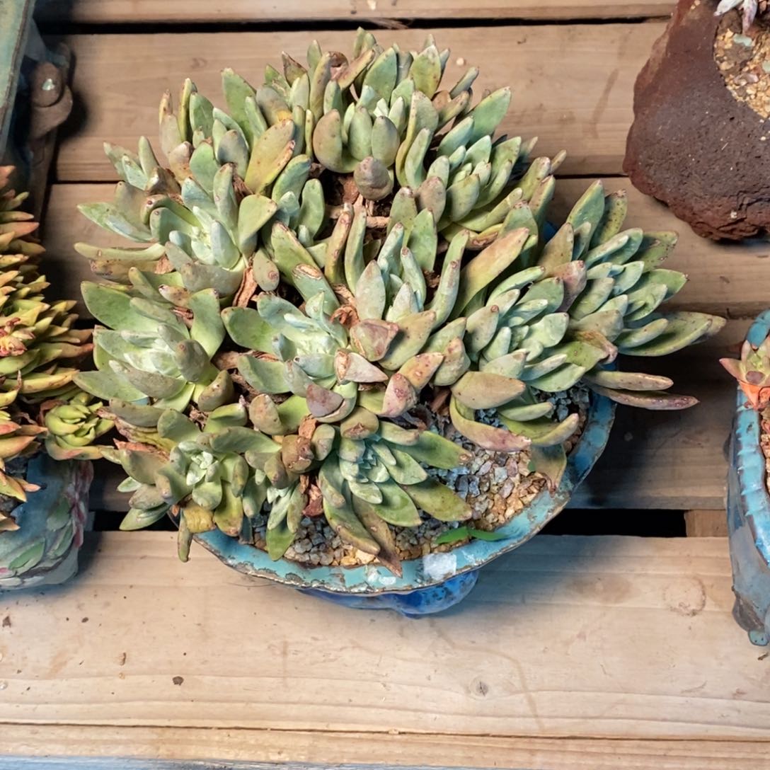 1535哈哈哈哈哈哈哈哈哈