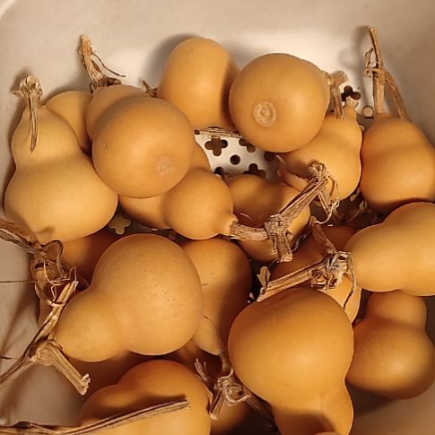 三***葫天然葫芦20个小胖墩葫芦