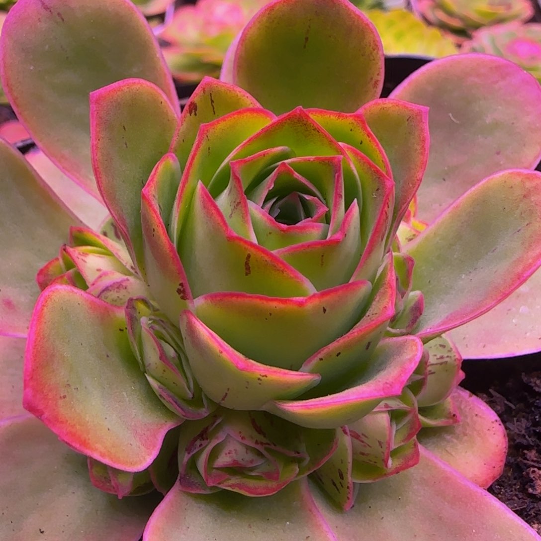 福利113434353535353