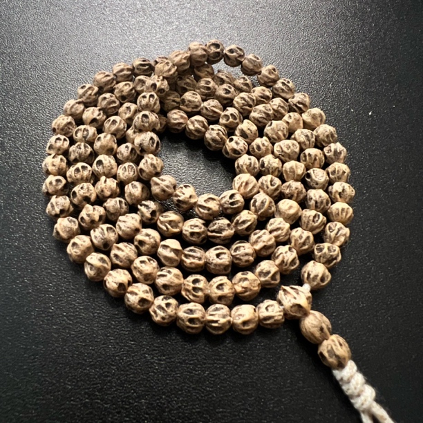 热振一哥《神哥一号》定制级百香籽