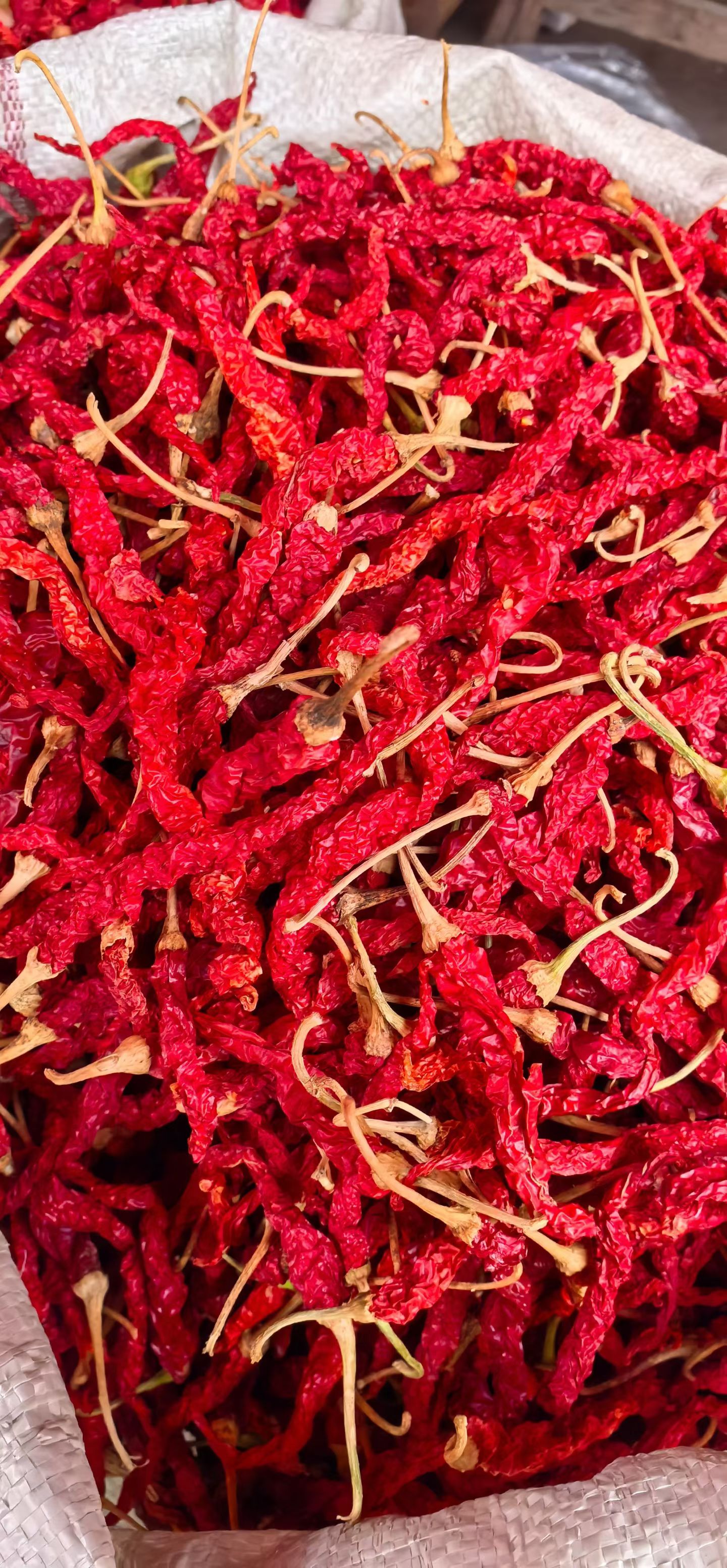 《现货现发》干红辣椒 香而不辣 百搭单品