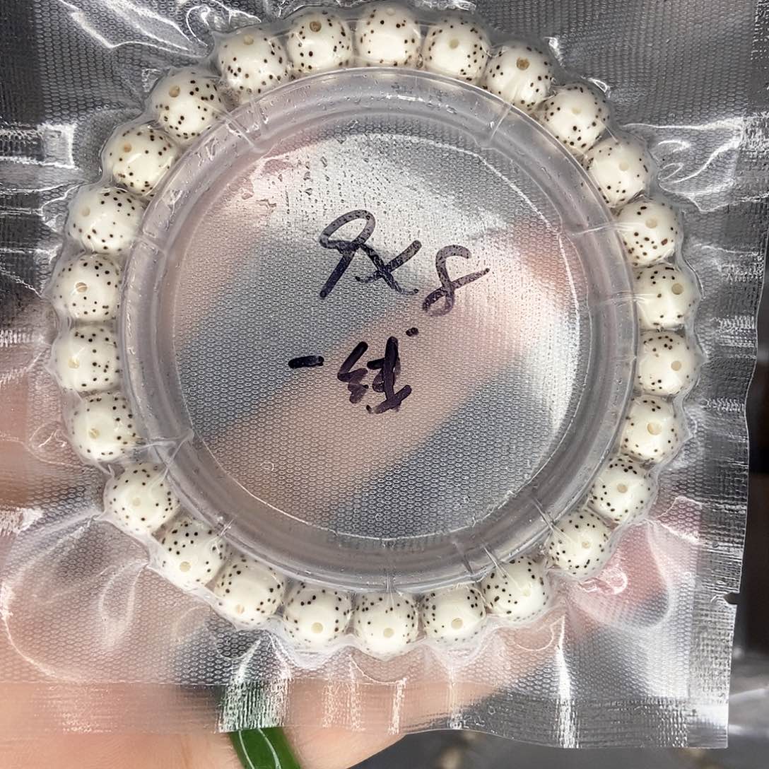 手串星月菩提星月