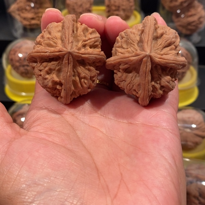 核桃文玩核桃46尺玉玺四棱