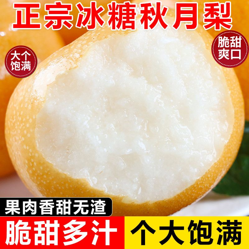 山东莱阳秋月梨脆甜新鲜爽口化渣皮薄肉厚
