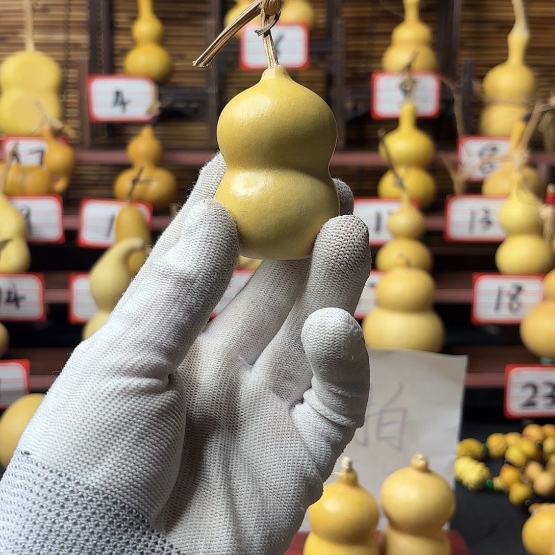 看好下单不退不换