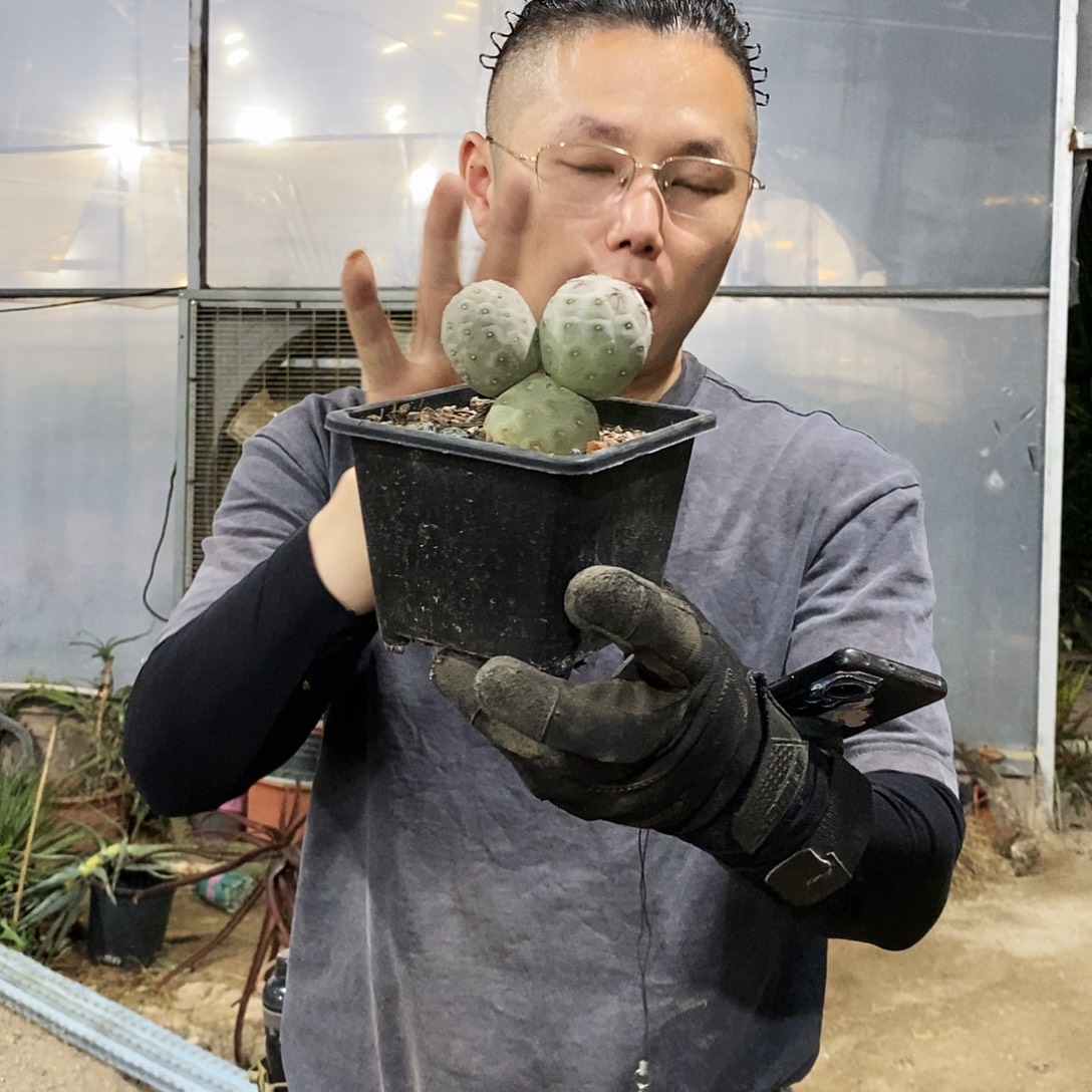 5号拍品。           