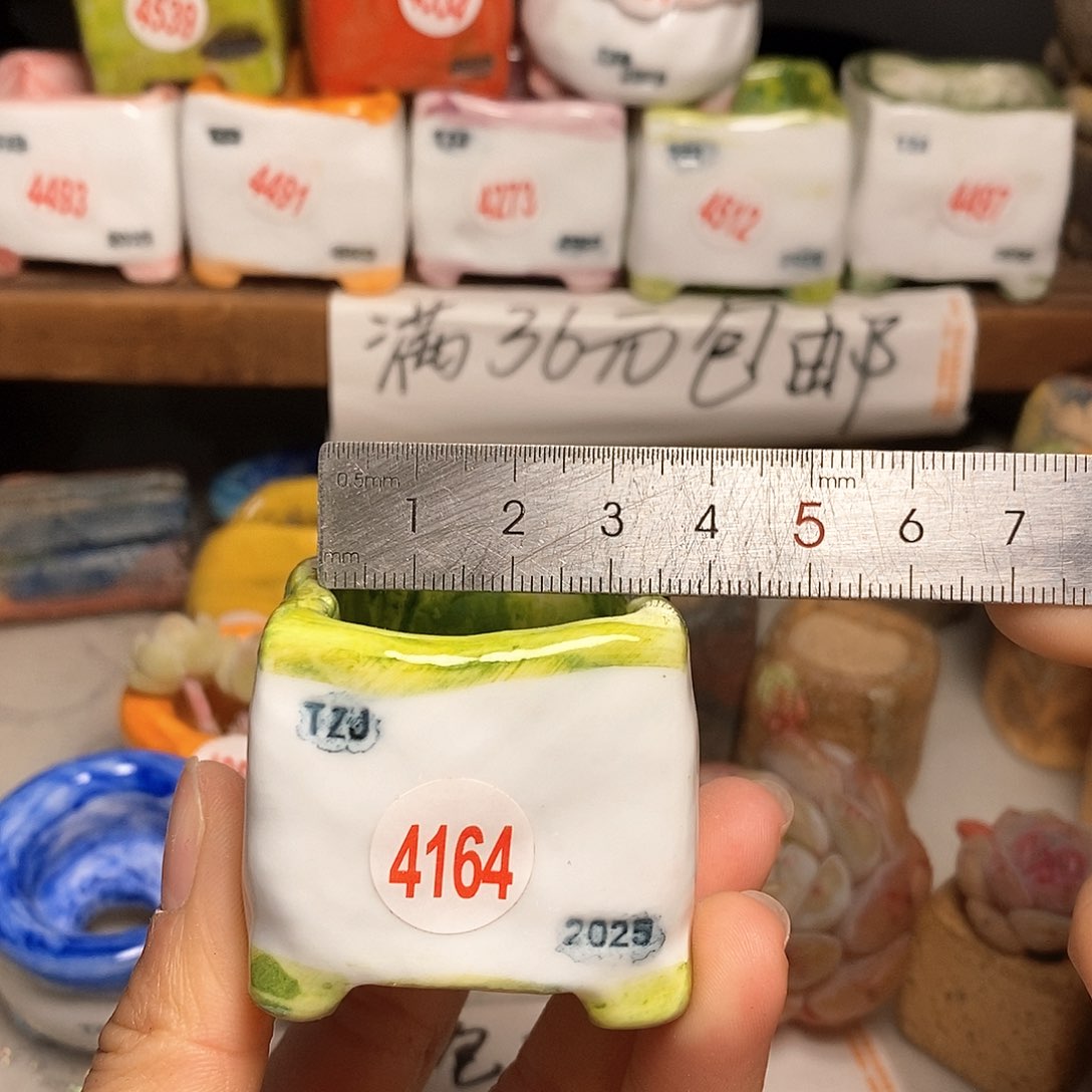 红陶拍5送一个小