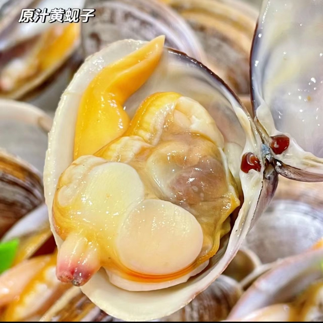 丹东东港黄蚬子 4斤 一斤22个左右 顺丰发货 